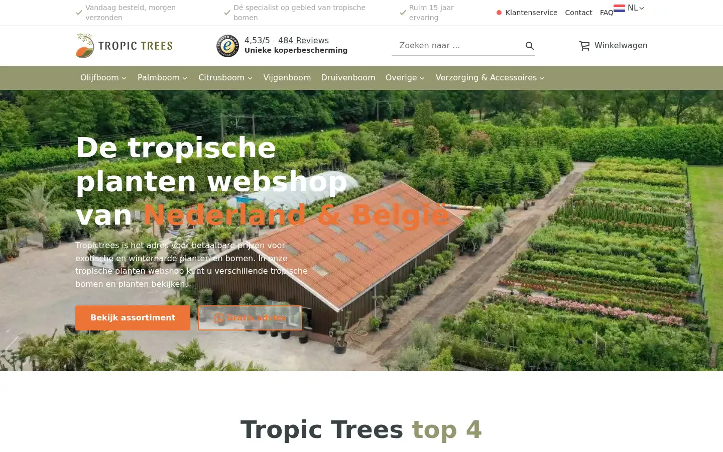 Screenshot of tropictrees.nl