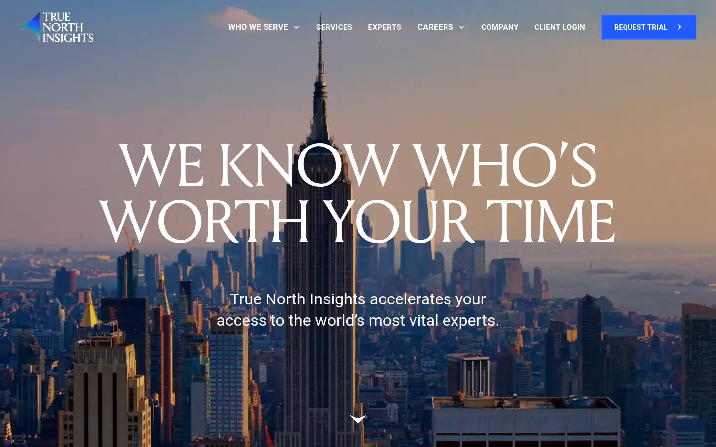 Screenshot of truenorthinsights.com
