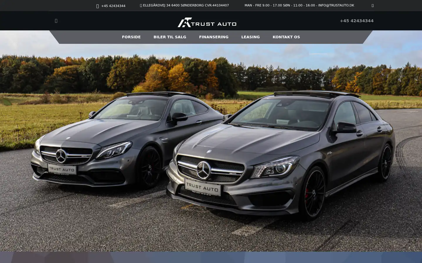 Screenshot of trustauto.dk