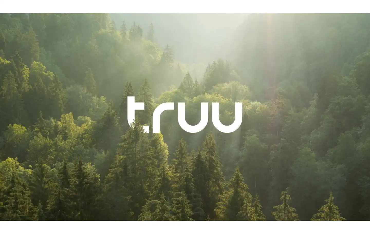 Screenshot of truu.com