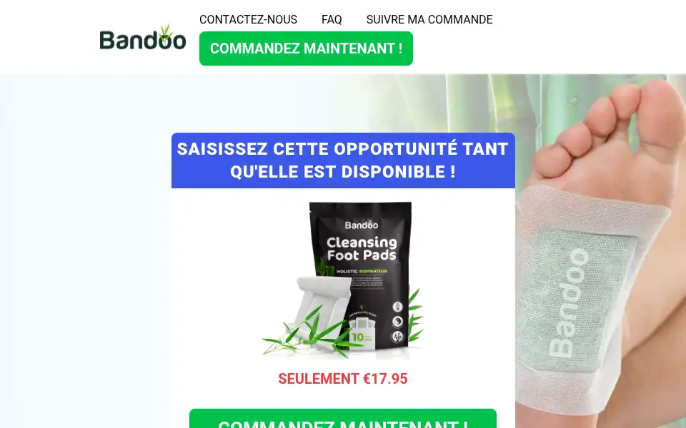 Screenshot of trybandoopatch.com