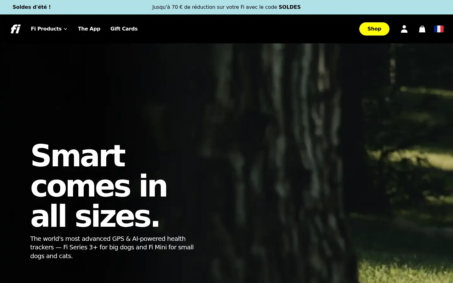 Screenshot of tryfi.com