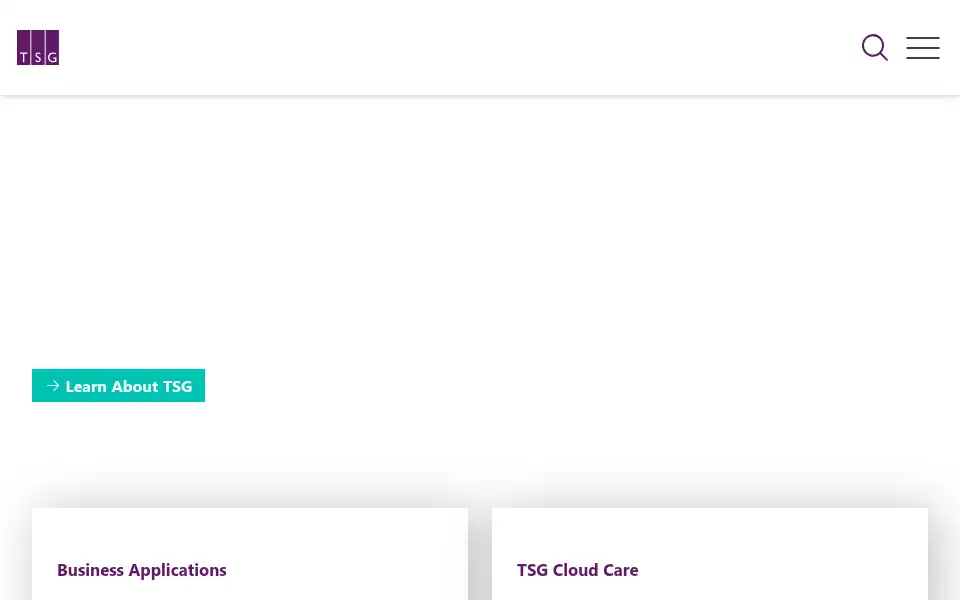 Screenshot of tsg.com