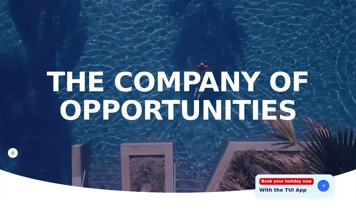 Screenshot of tuigroup.com