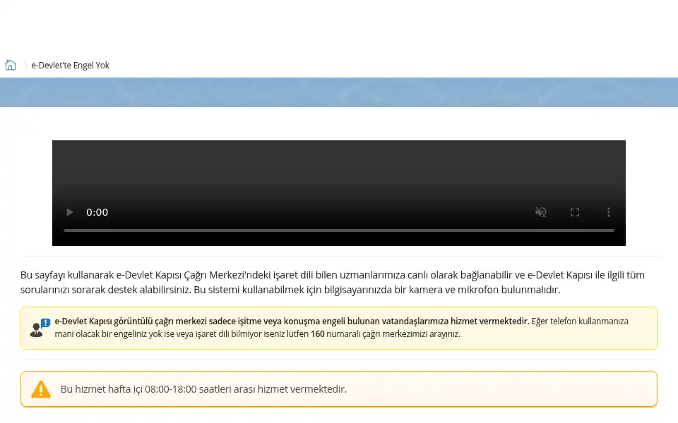 Screenshot of turkiye.gov.tr