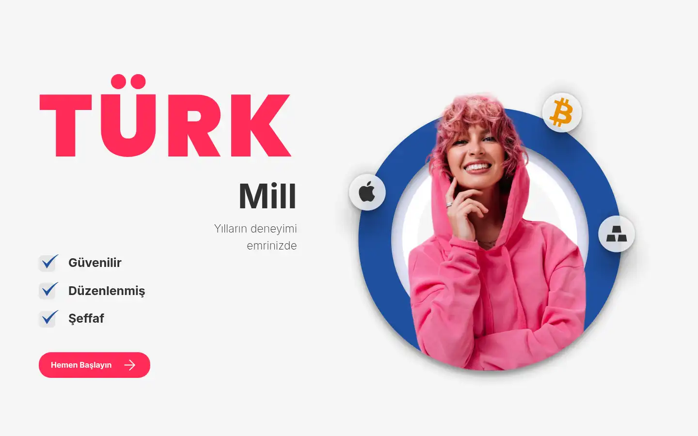 Screenshot of turkmill.com