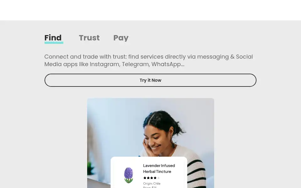 Screenshot of turquoipay.com