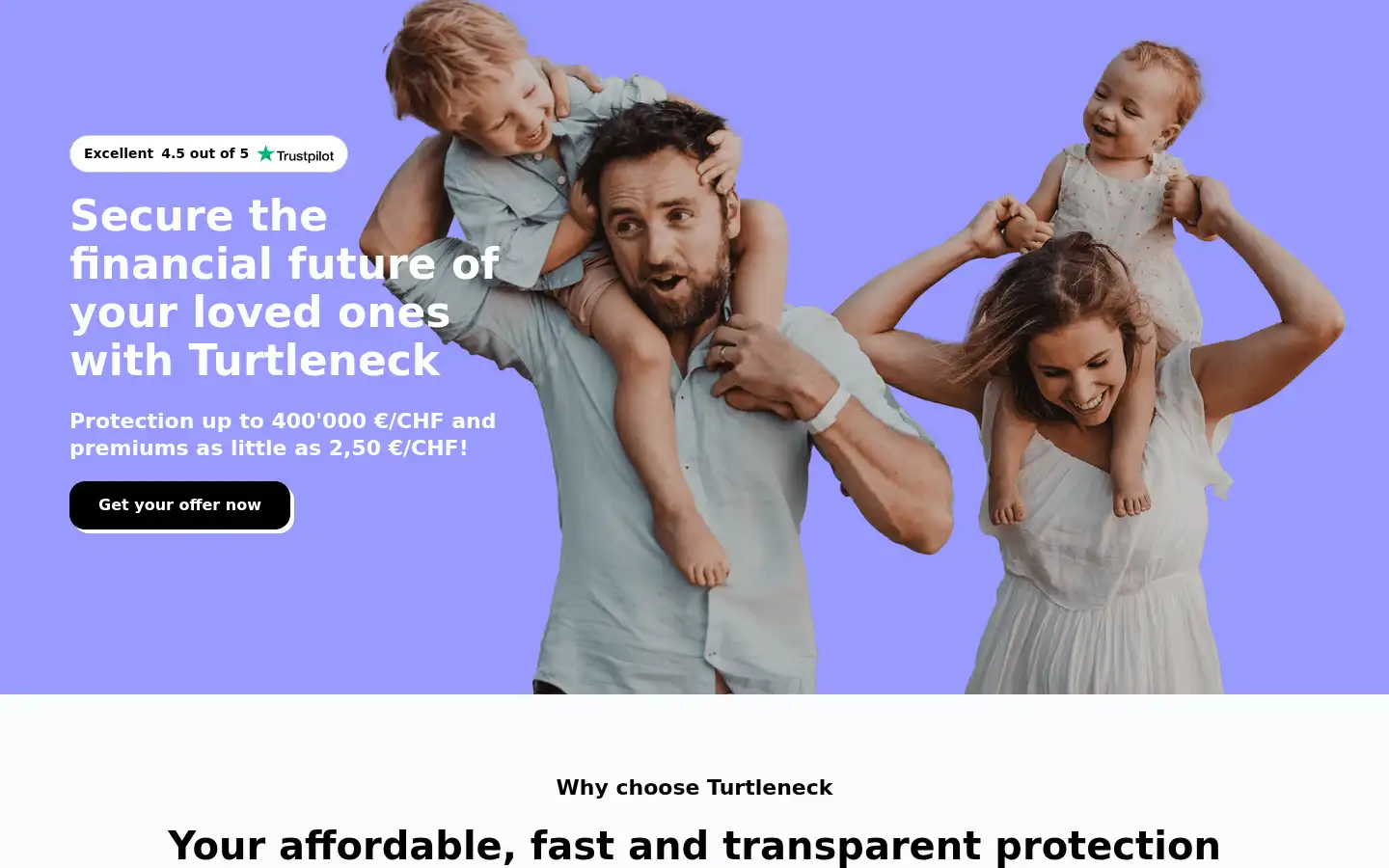 Screenshot of turtleneck.com