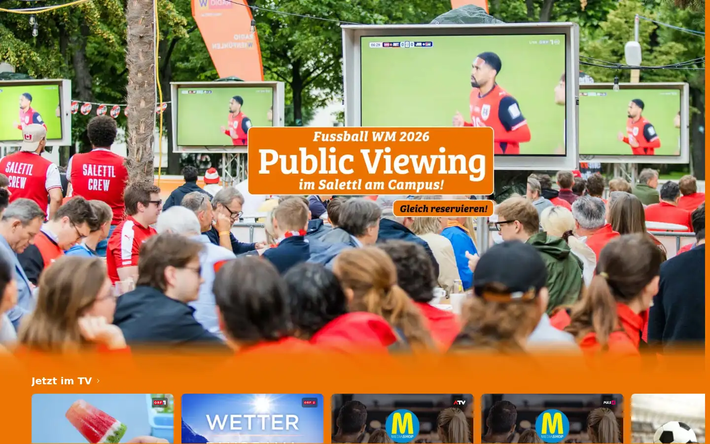 Screenshot of tvmedia.at