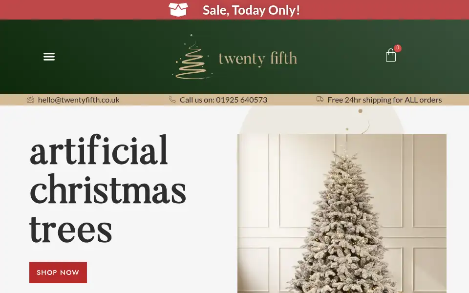 Screenshot of twentyfifth.co.uk
