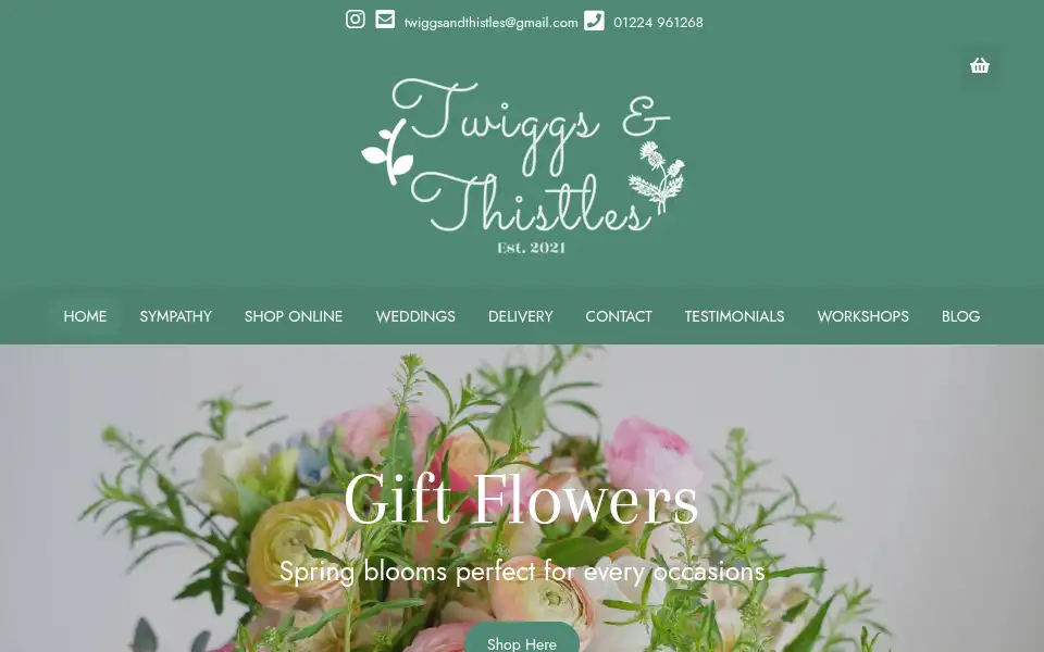 Screenshot of twiggsandthistles.co.uk
