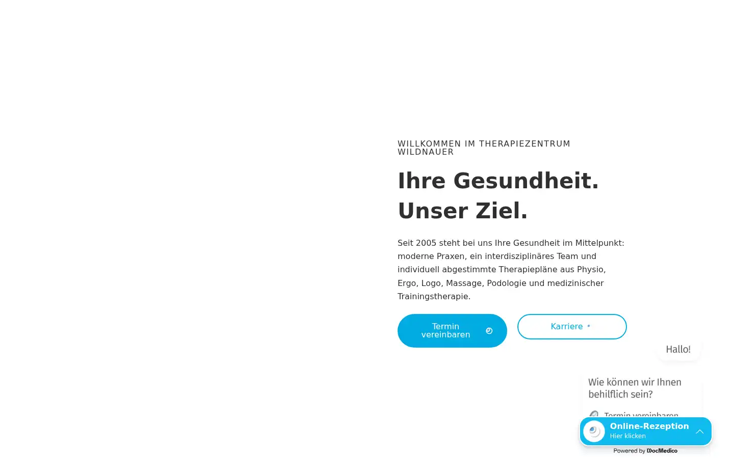 Screenshot of tz-wildnauer.de