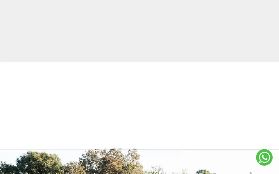 Screenshot of tznlodge.co.za