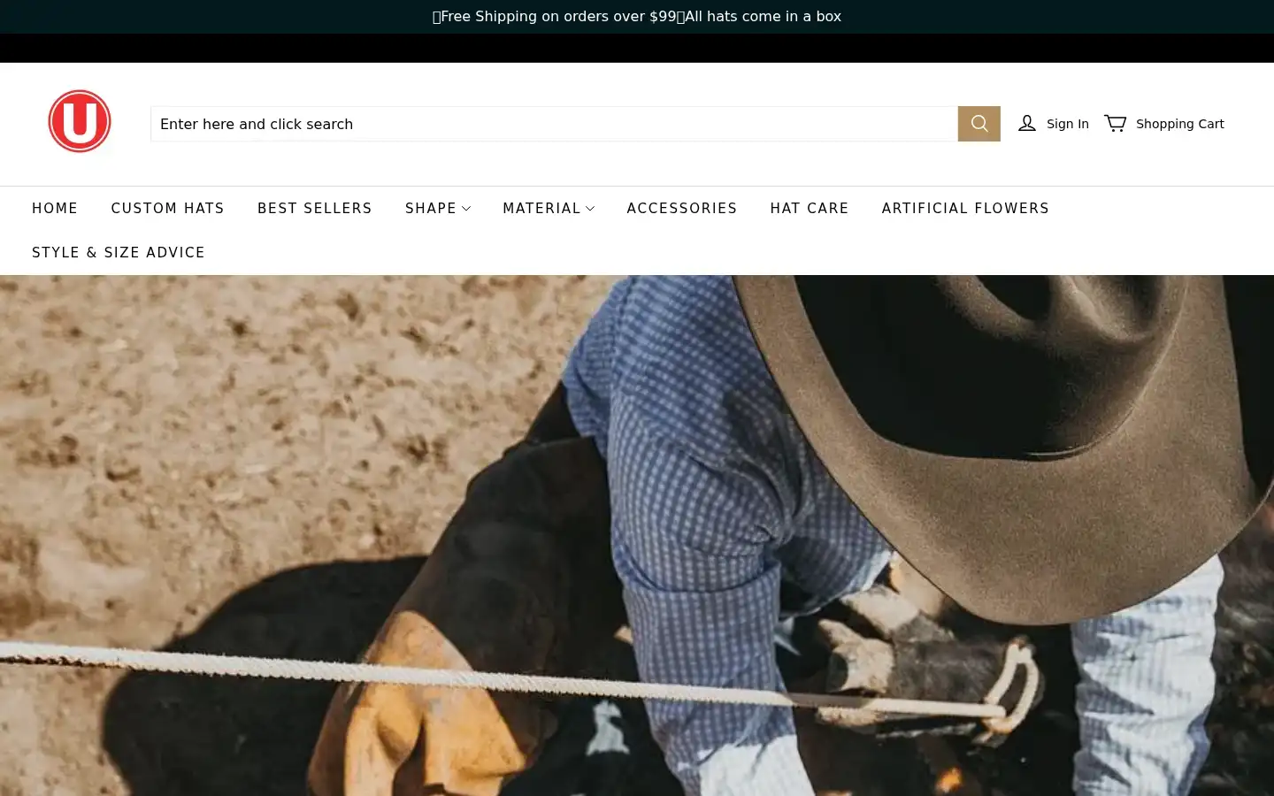 Screenshot of ugly-hat.com