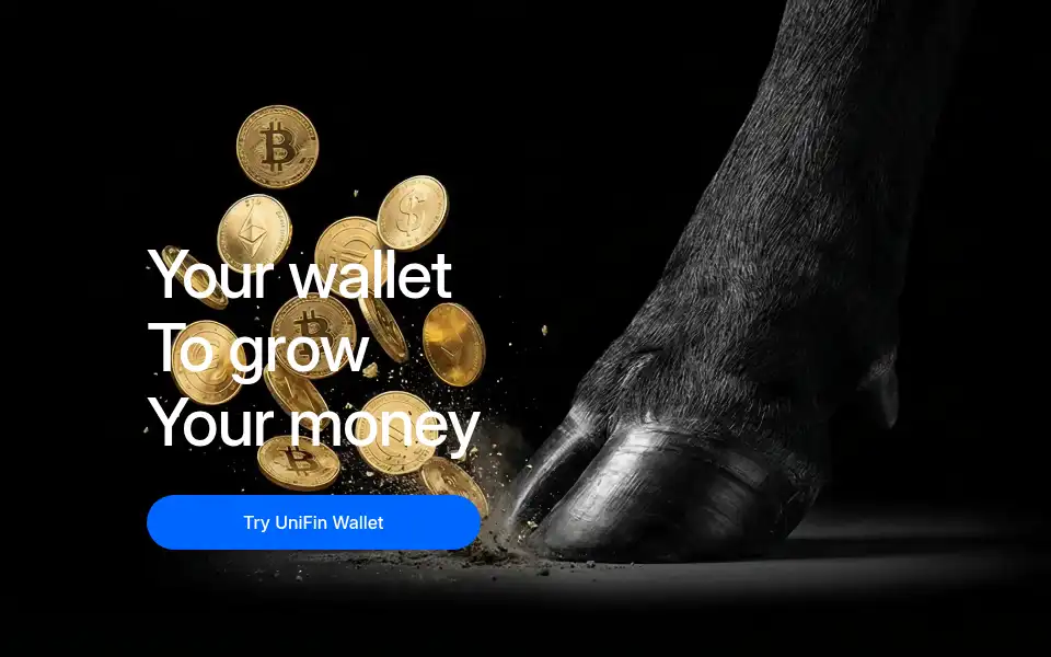 Screenshot of unifinwallet.com