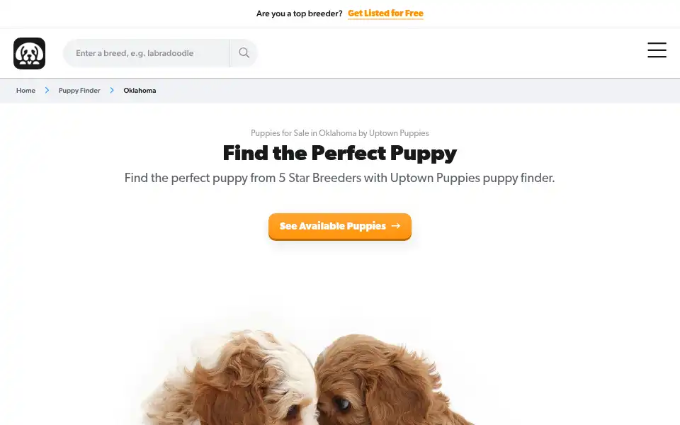Screenshot of uptownpuppies.com
