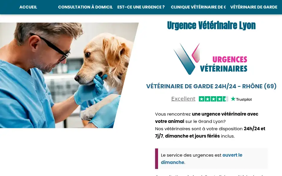 Screenshot of urgences-veterinaires-lyon.fr