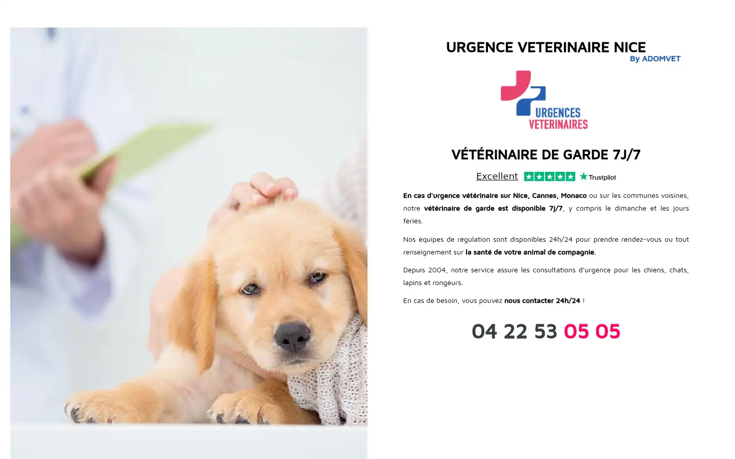 Screenshot of urgences-veterinaires-nice.fr