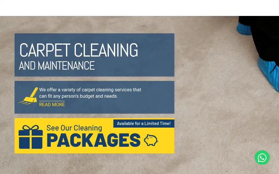 Screenshot of usacleanmaster.com