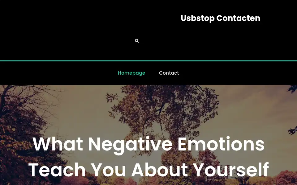 Screenshot of usbstopcontacten.com