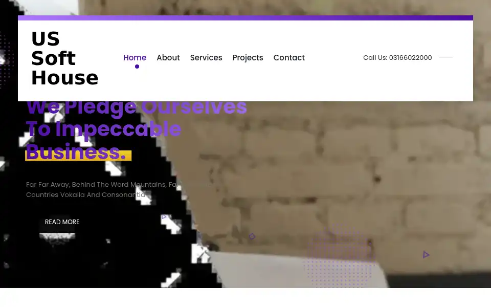 Screenshot of ussofthouse.com