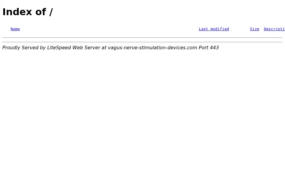 Screenshot of vagus-nerve-stimulation-devices.com