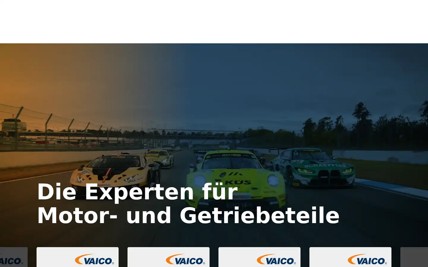 Screenshot of vaico.de