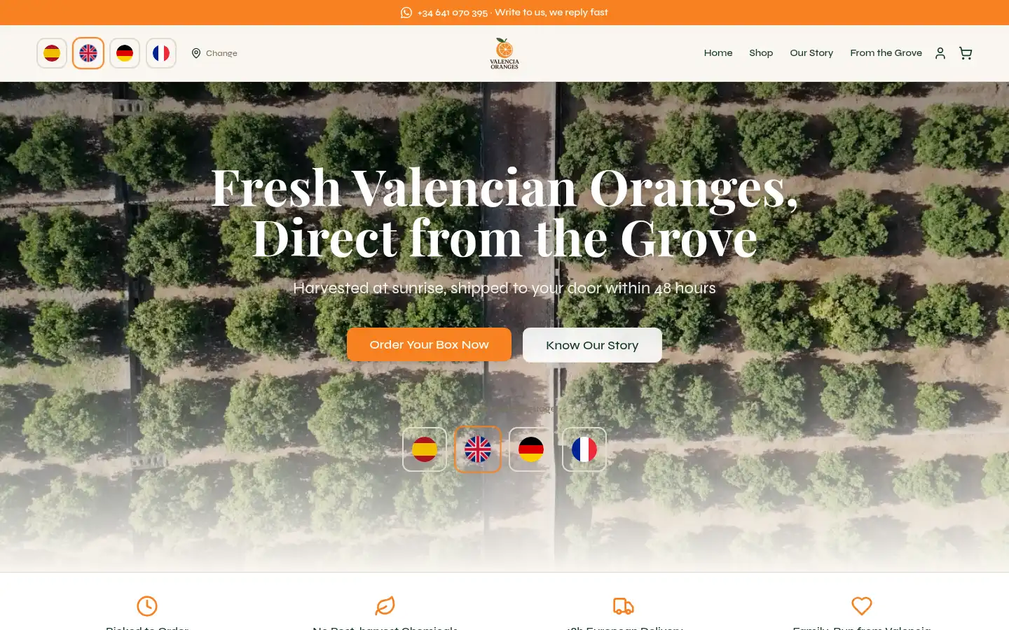 Screenshot of valenciaoranges.es