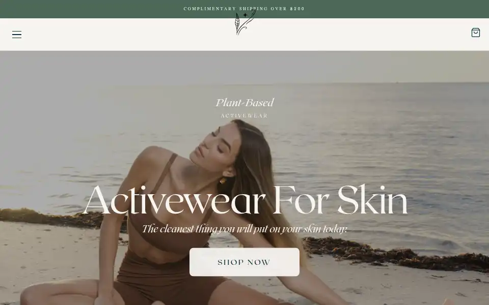 Screenshot of valinoractive.com