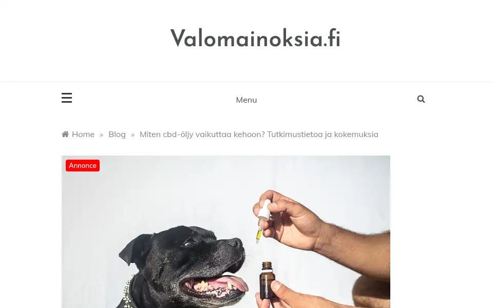 Screenshot of valomainoksia.fi