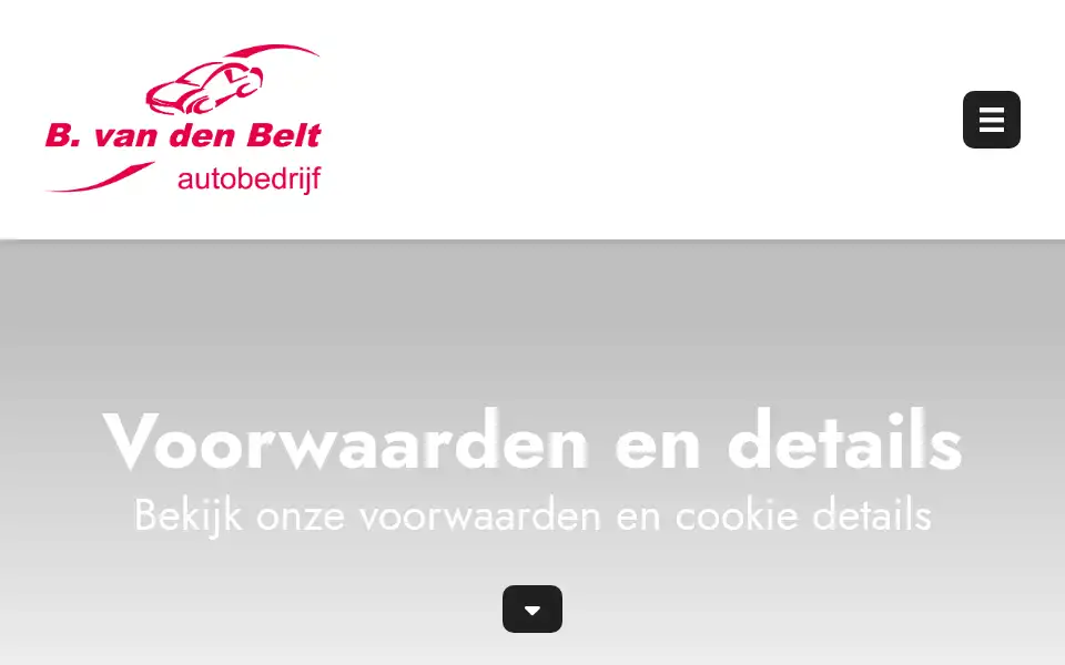 Screenshot of vandenbeltautos.nl