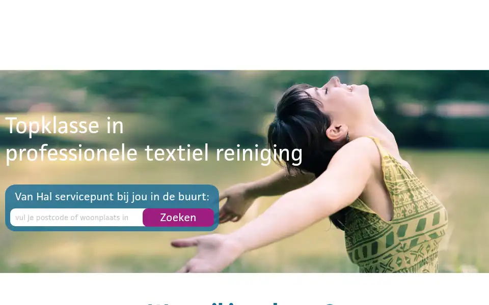 Screenshot of vanhalstomerij.nl