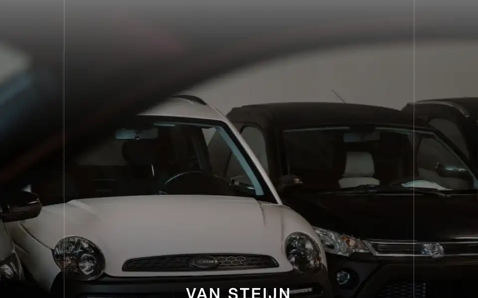 Screenshot of vansteijnminicars.nl