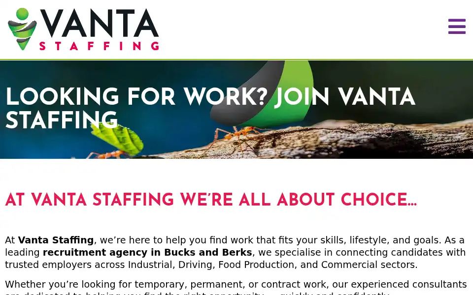 Screenshot of vantastaffing.com