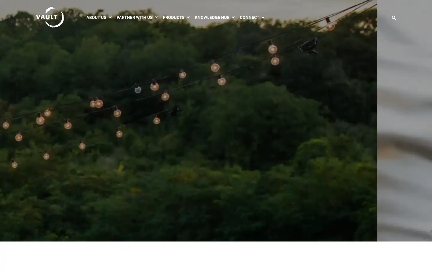 Screenshot of vault.insurance