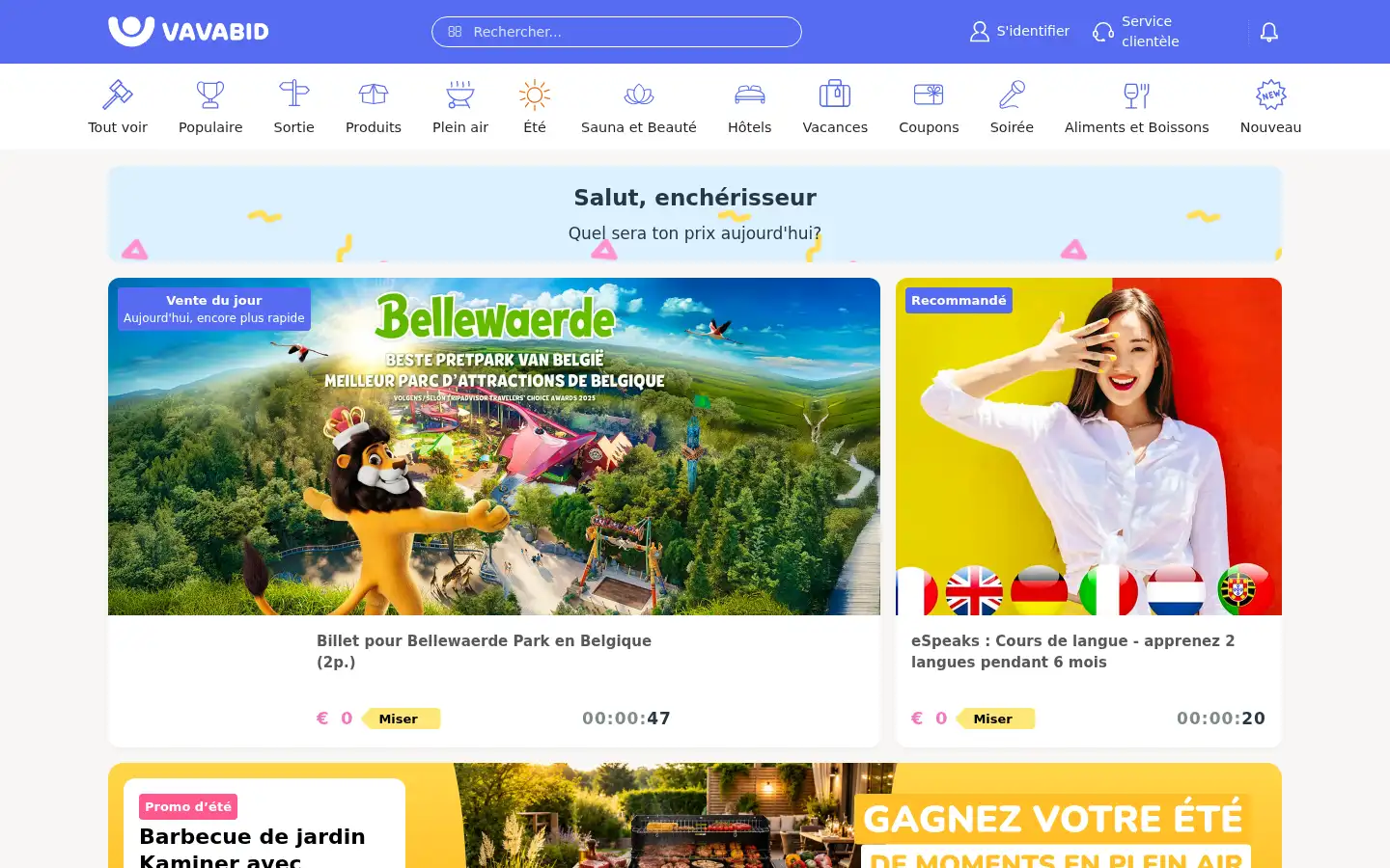 Screenshot of vavabid.be