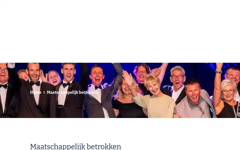 Screenshot of vdholland.nl