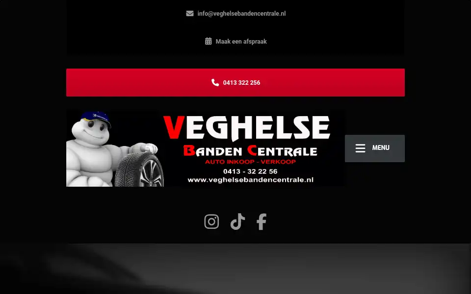 Screenshot of veghelsebandencentrale.nl