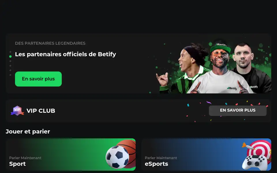 Screenshot of vegters.com