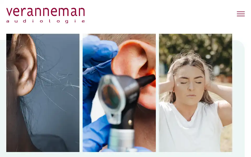 Screenshot of veranneman-audio.be