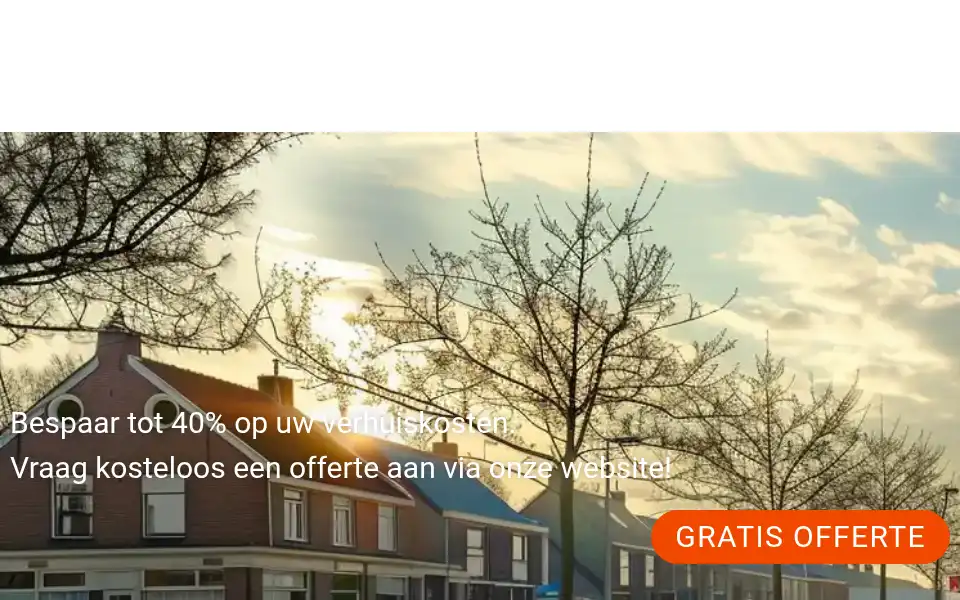 Screenshot of verhuisbedrijfbarneveld.com