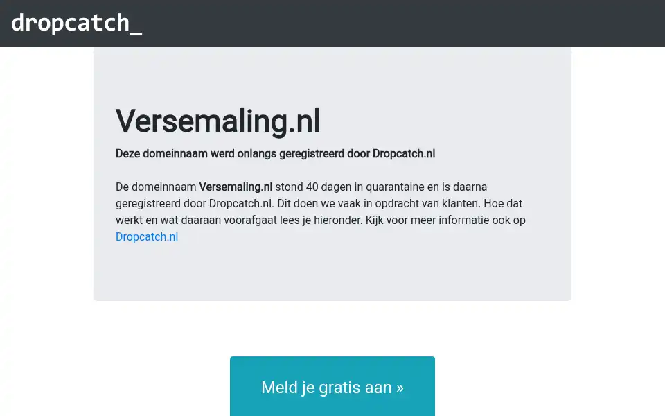 Screenshot of versemaling.nl