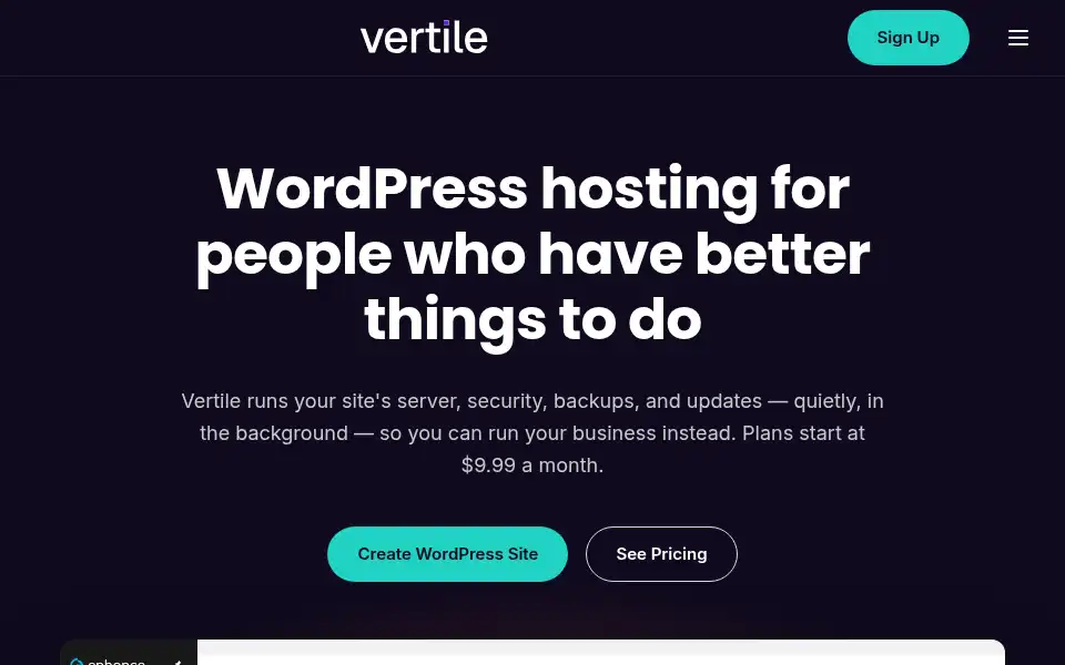 Screenshot of vertilehosting.com