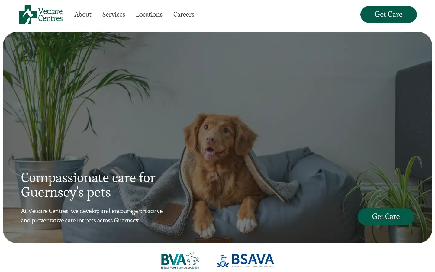 Screenshot of vetcarecentres.com