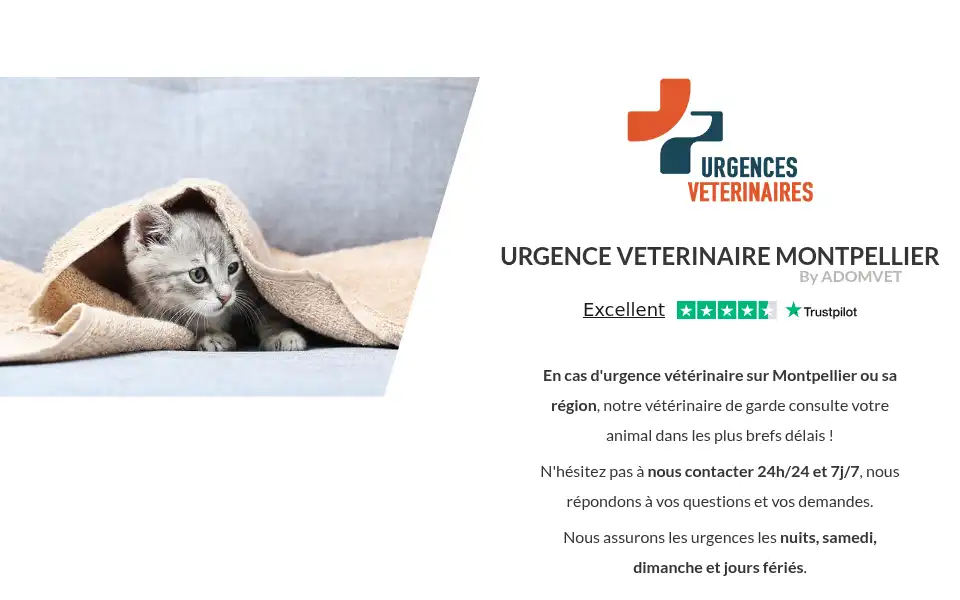 Screenshot of veterinaire-de-garde-montpellier.fr