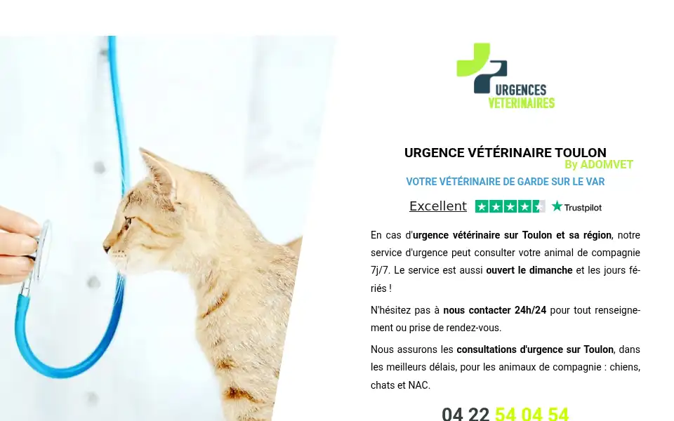 Screenshot of veterinaire-de-garde-toulon.fr