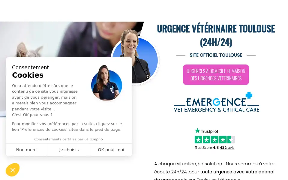 Screenshot of veterinaire-de-garde-toulouse.fr