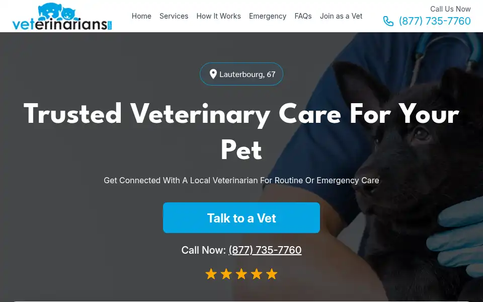 Screenshot of veterinarians.com