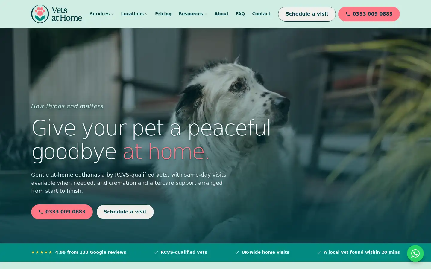 Screenshot of vetsathome.com