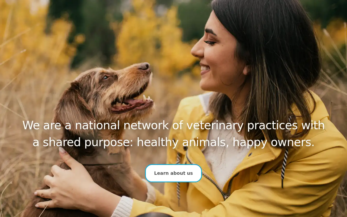 Screenshot of vetstrategy.com